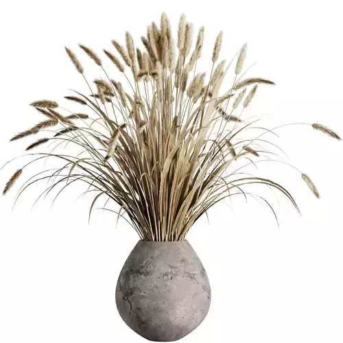 Dry grass pampas Bouquet4 3D model