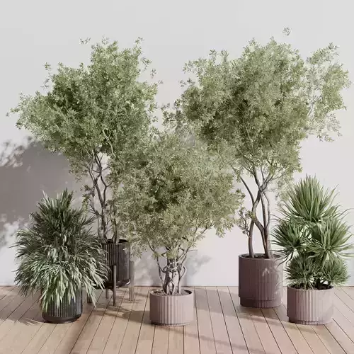indoor plant set 408 plant tree palm bush concrete dirt vase