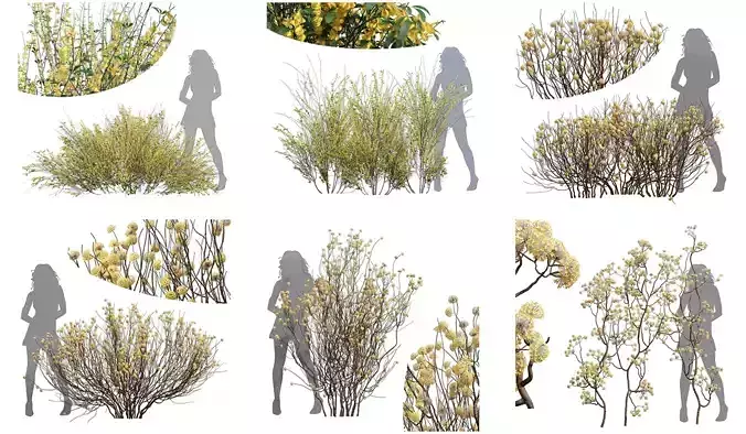 6 Different SETS of Bush SET VOL71 3D Model Collection