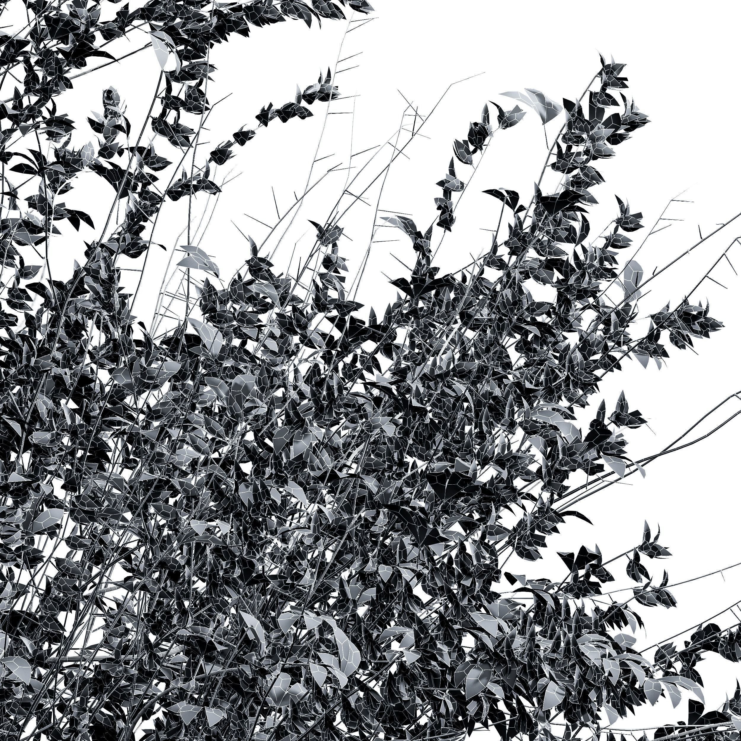 6 Different SETS of Bush SET VOL72 3D Model Collection_20