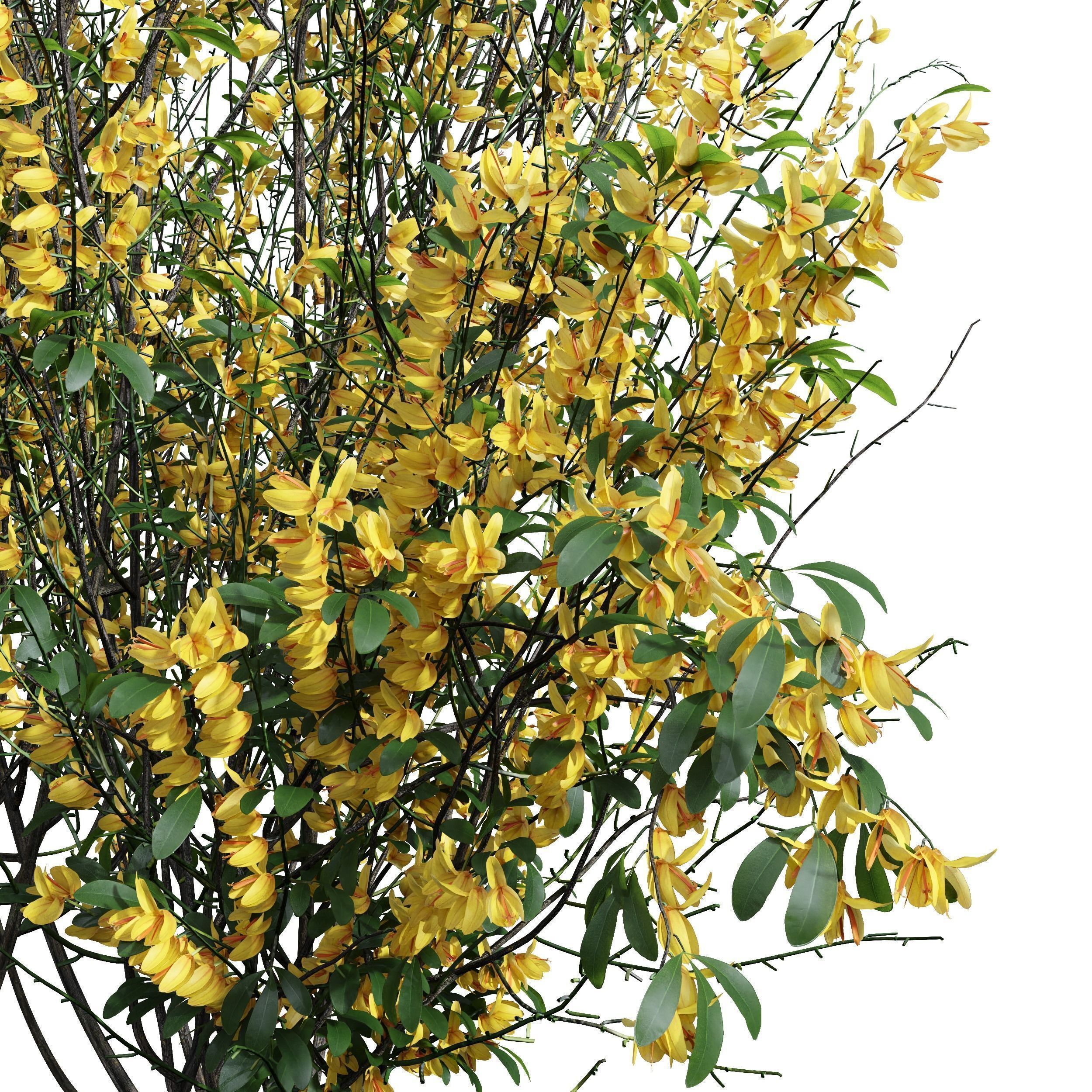 6 Different SETS of Bush SET VOL72 3D Model Collection_12