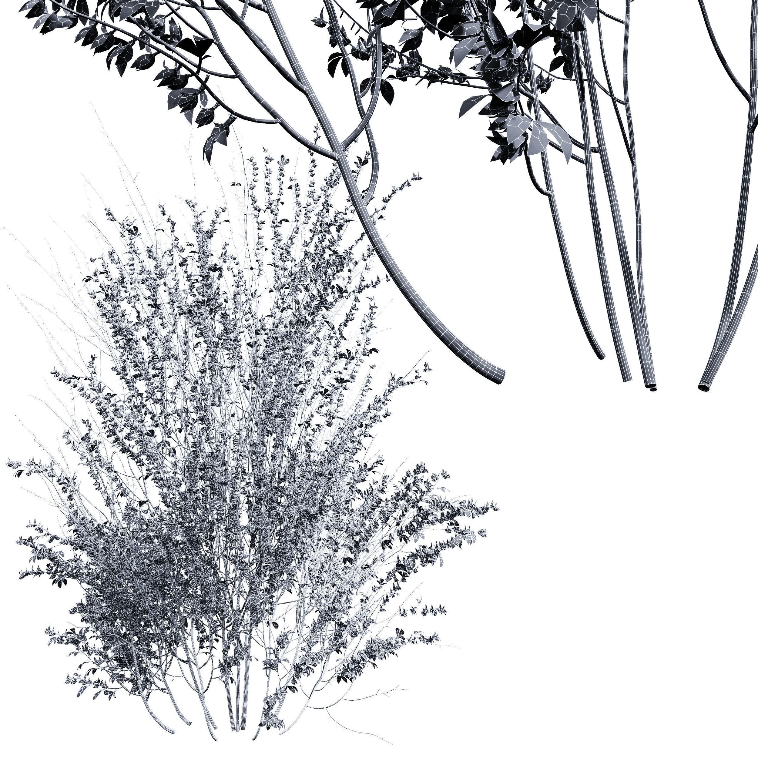 6 Different SETS of Bush SET VOL72 3D Model Collection_17