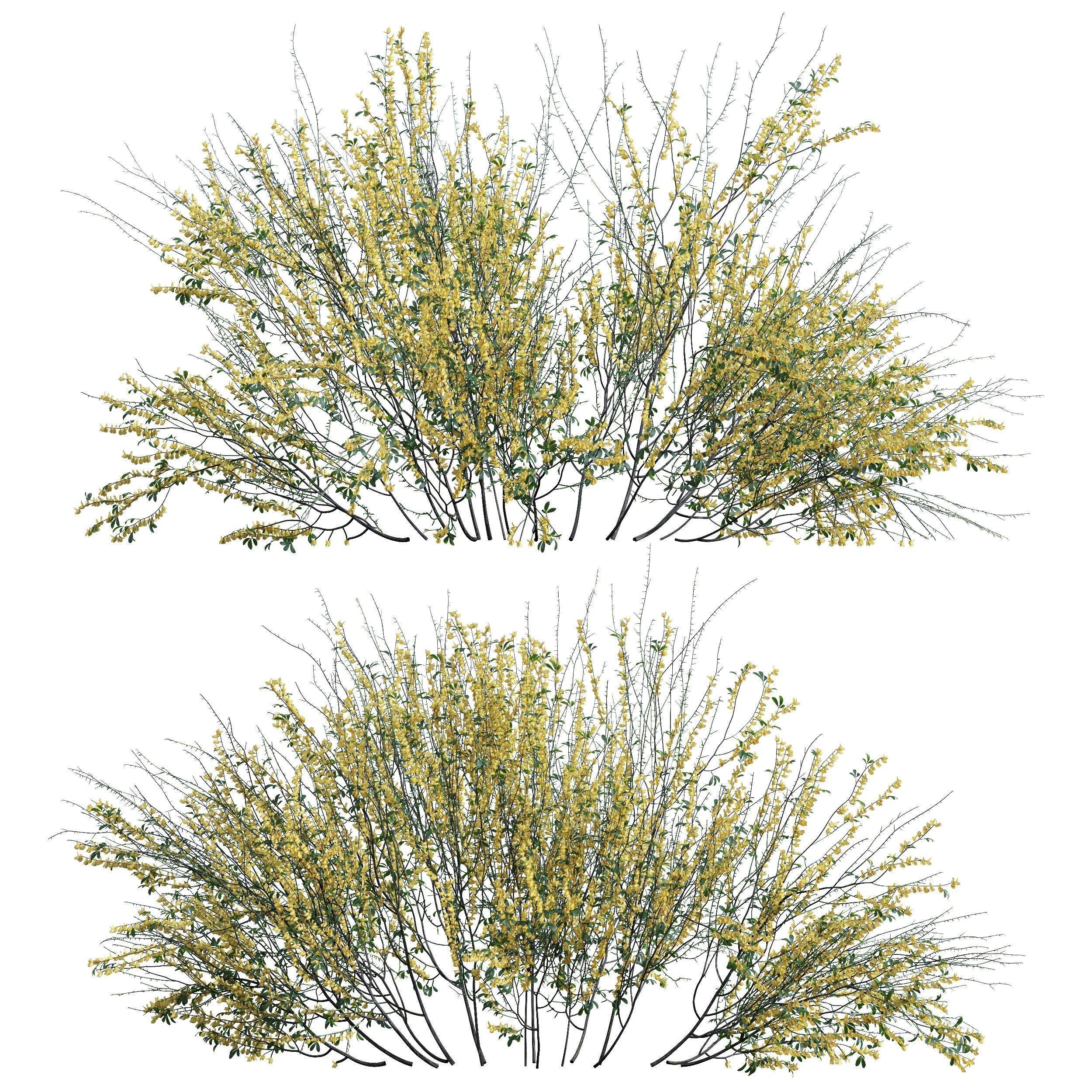 6 Different SETS of Bush SET VOL72 3D Model Collection_13