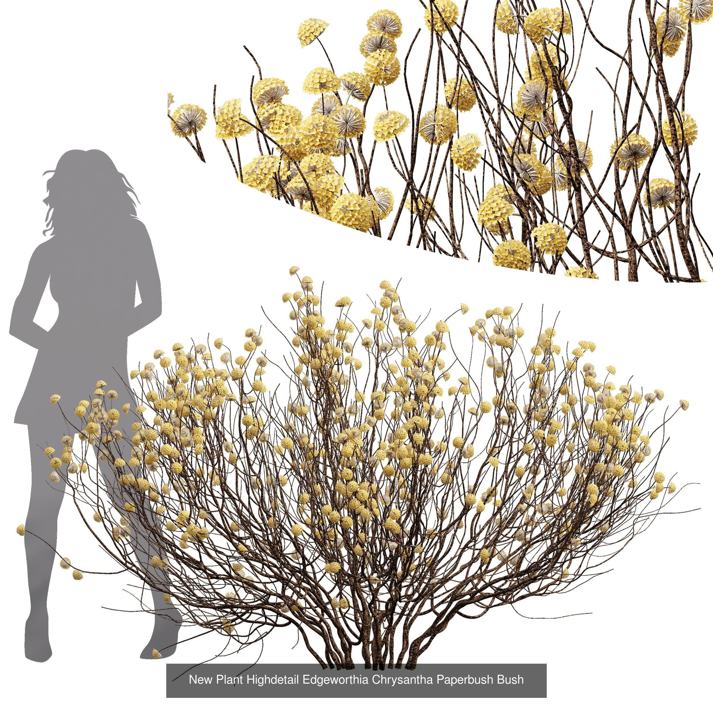 6 Different SETS of Bush SET VOL72 3D Model Collection_5