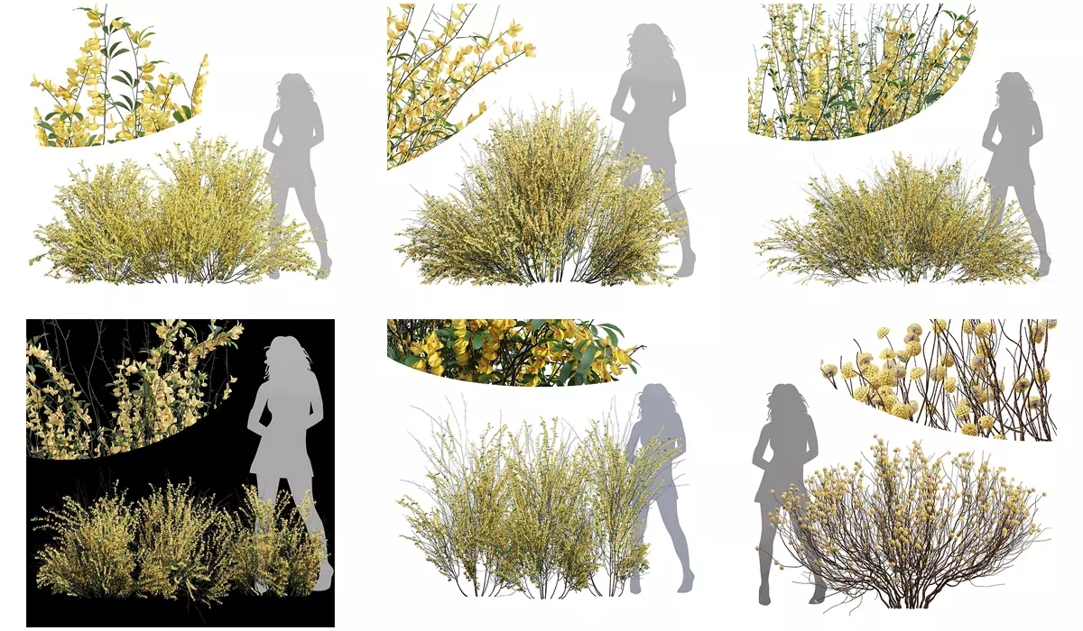 6 Different SETS of Bush SET VOL72 3D Model Collection_0