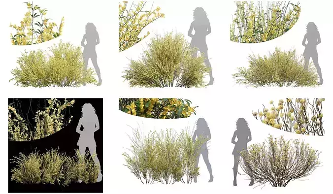  6 Different SETS of Bush SET VOL72 3D Model Collection