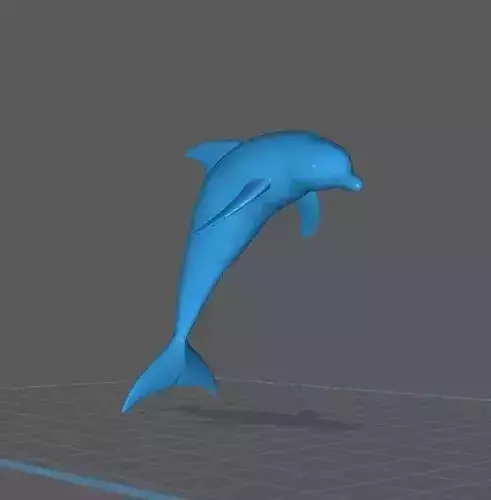 jumping Dolphin