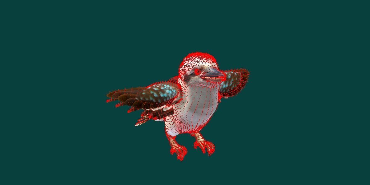 Kookaburra BIrd 3D model_8