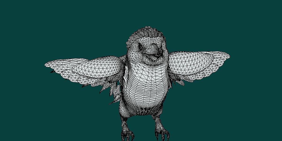 Kookaburra BIrd 3D model_6
