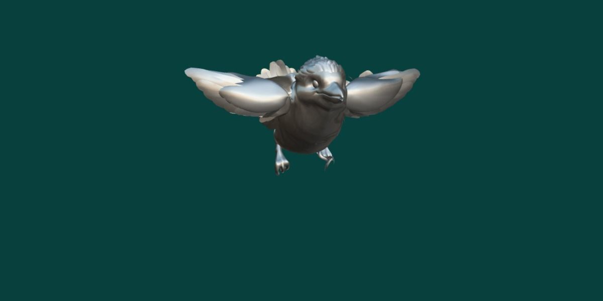 Kookaburra BIrd 3D model_19