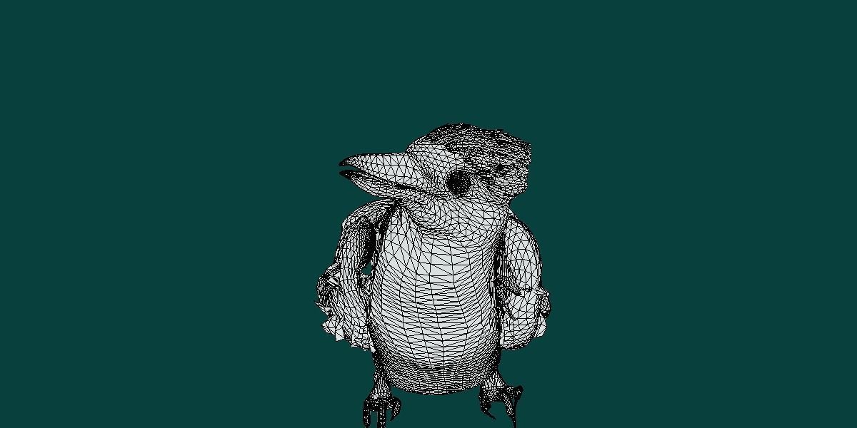 Kookaburra BIrd 3D model_5