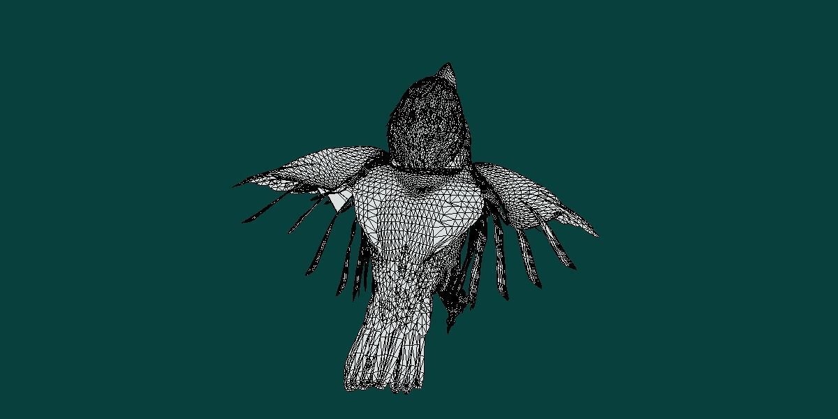 Kookaburra BIrd 3D model_7