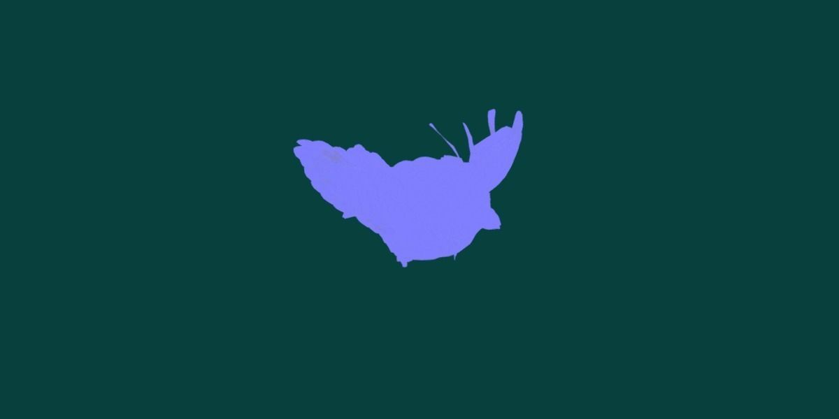 Kookaburra BIrd 3D model_17