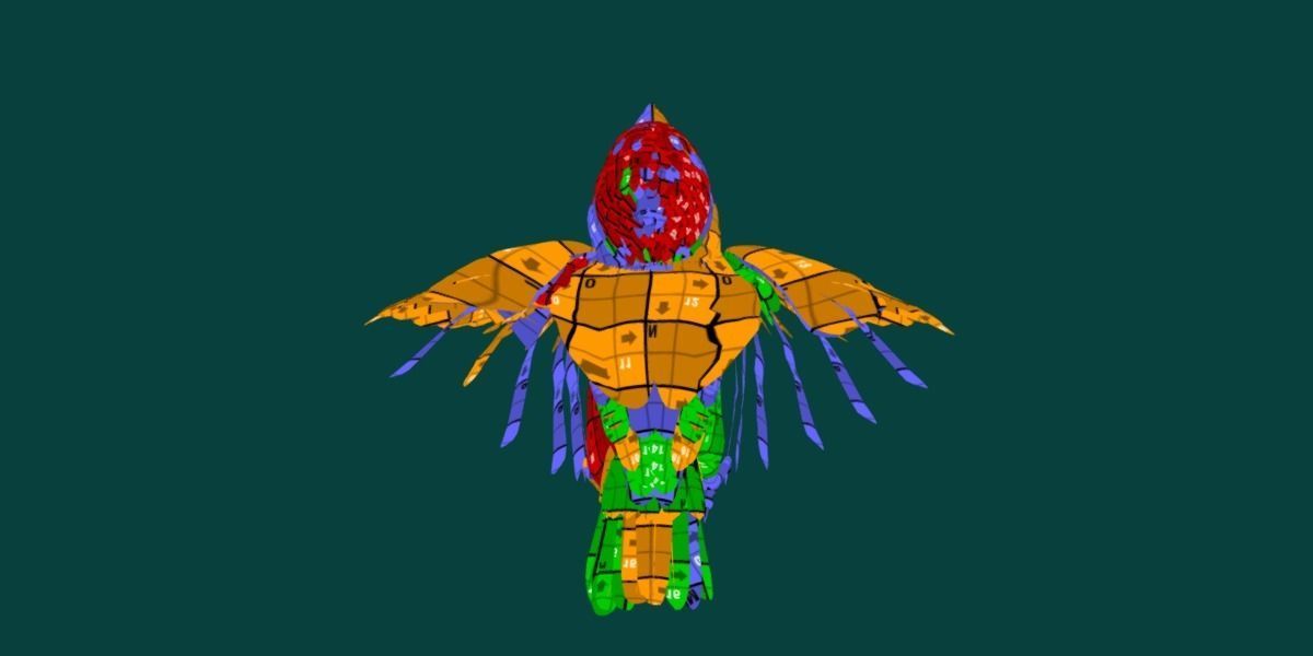 Kookaburra BIrd 3D model_11