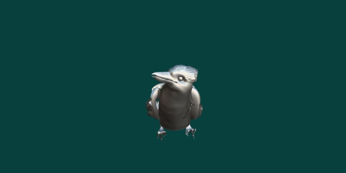 Kookaburra BIrd 3D model_4