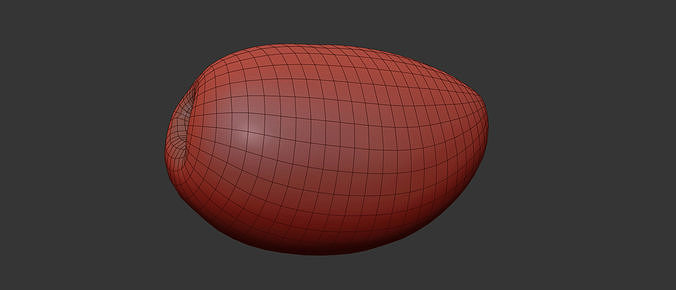 Olive 3D model 7