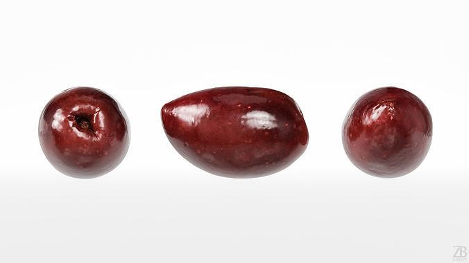 Olive 3D model 5