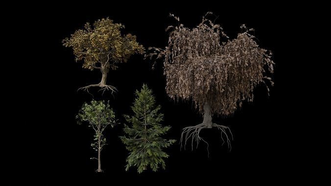 jungle tree 3D model