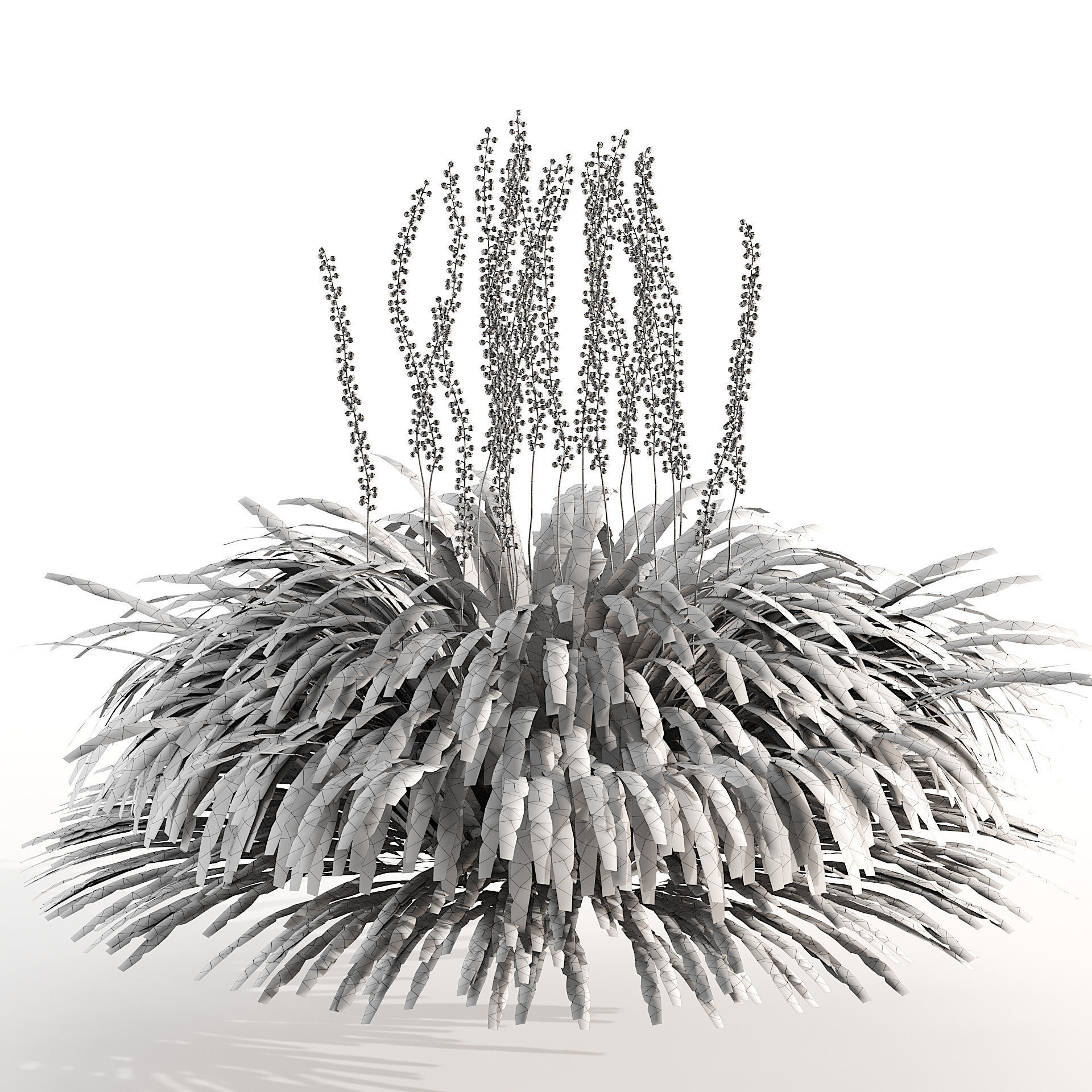 flowering big blue lilyturf plants Low-poly 3D model_5