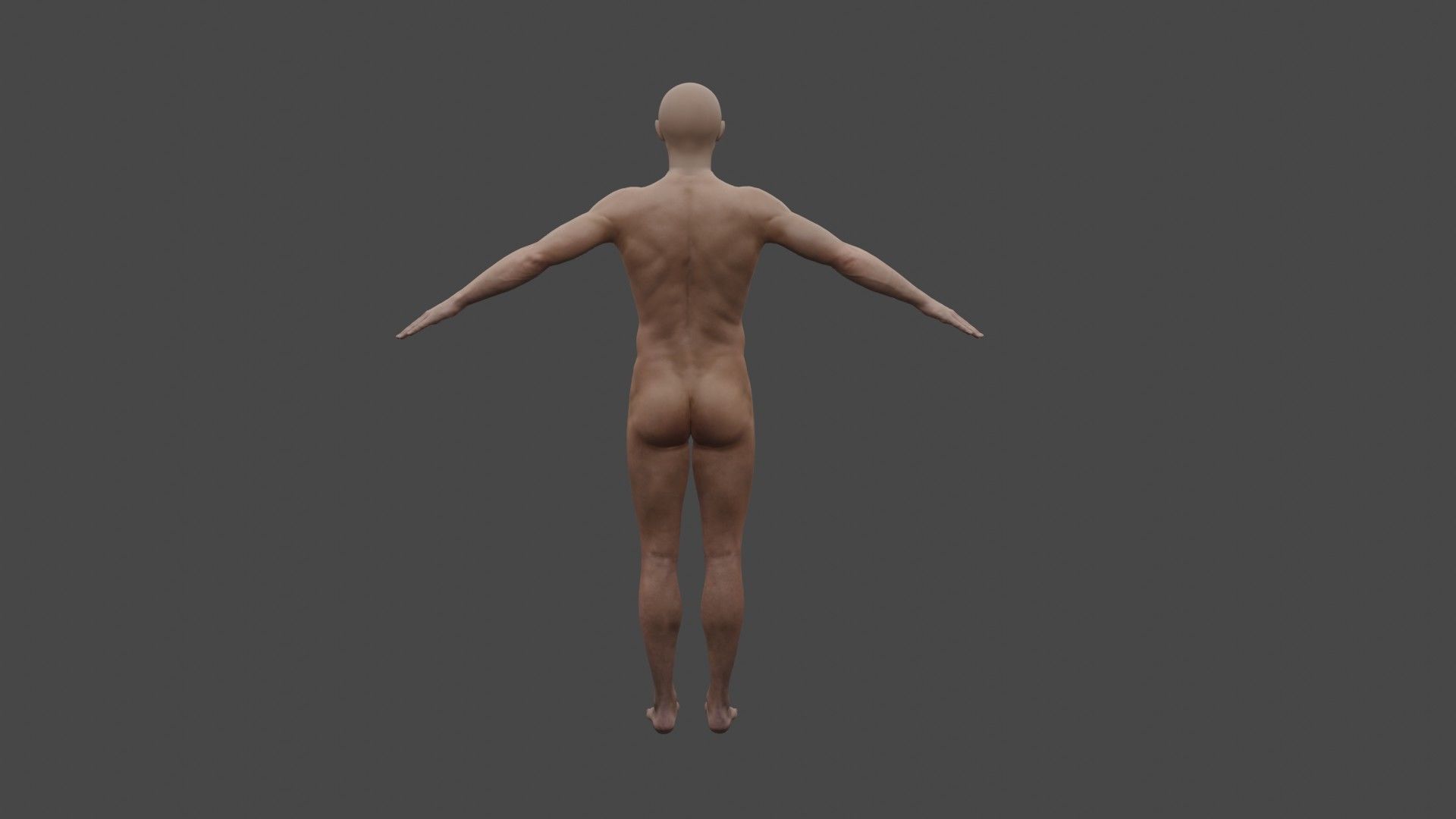 The human body man 3D model_2