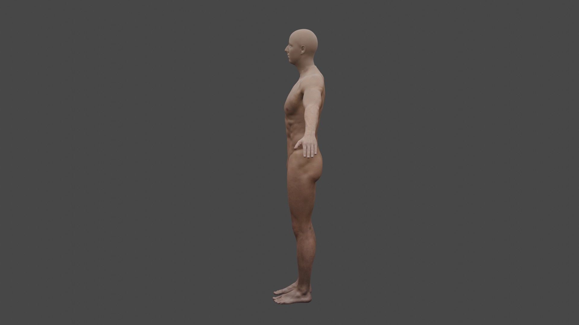 The human body man 3D model_1