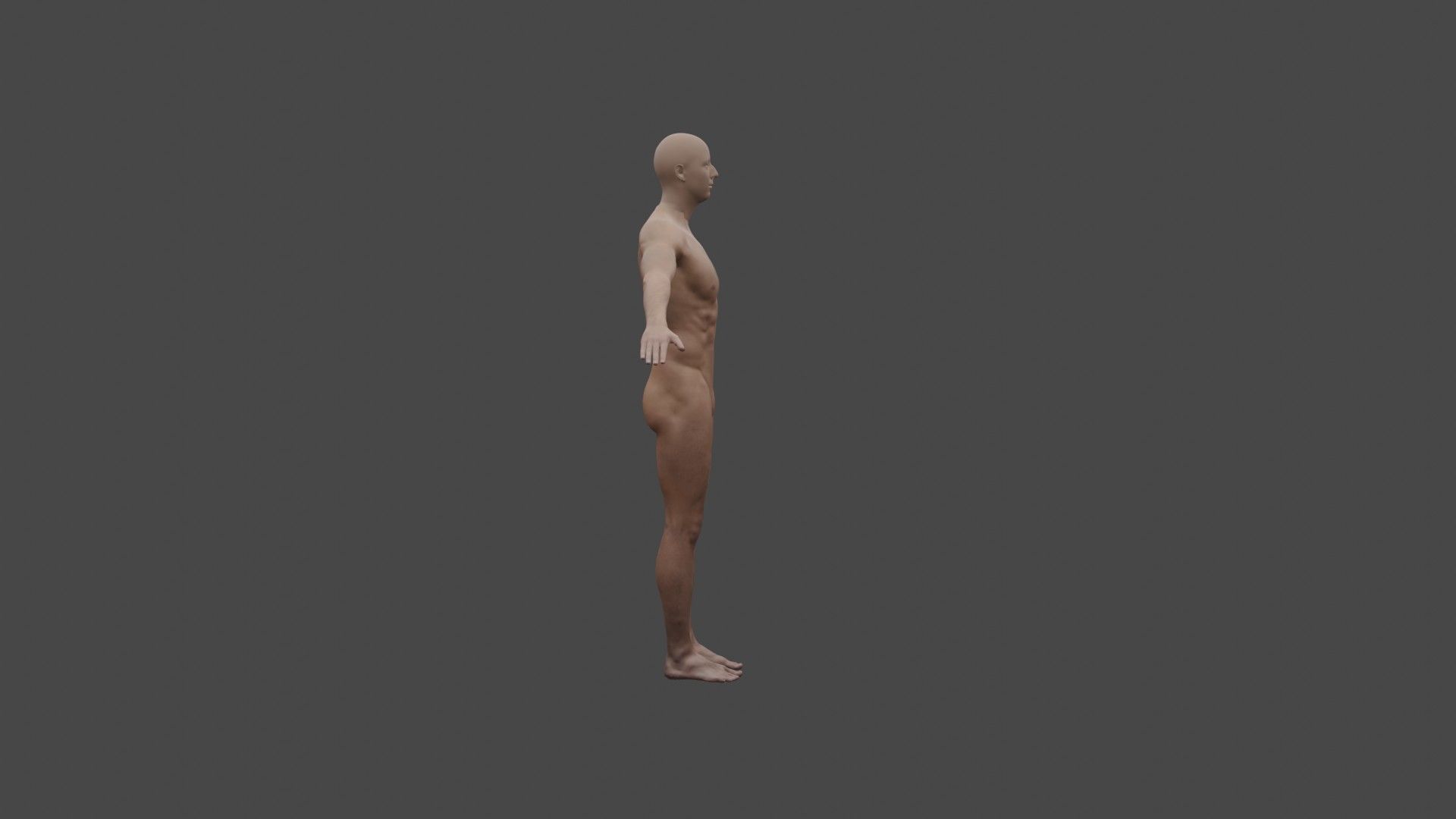 The human body man 3D model_3