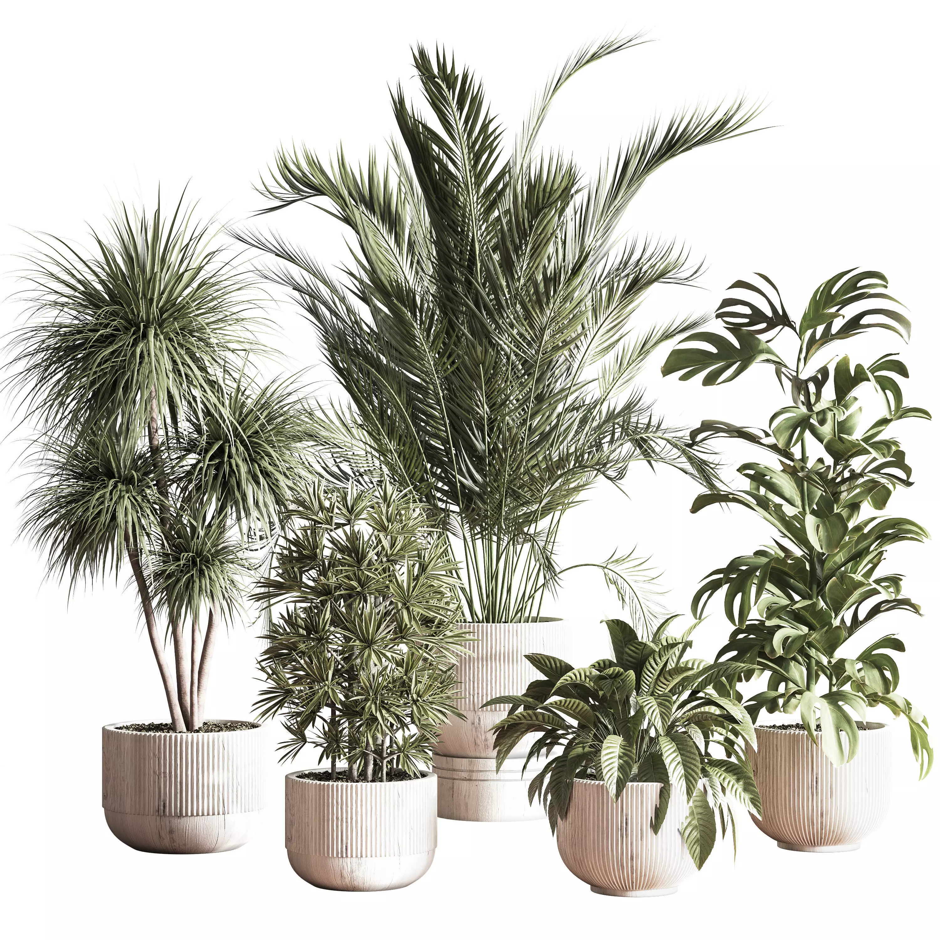  IndoorSetPlant046 3D model_0