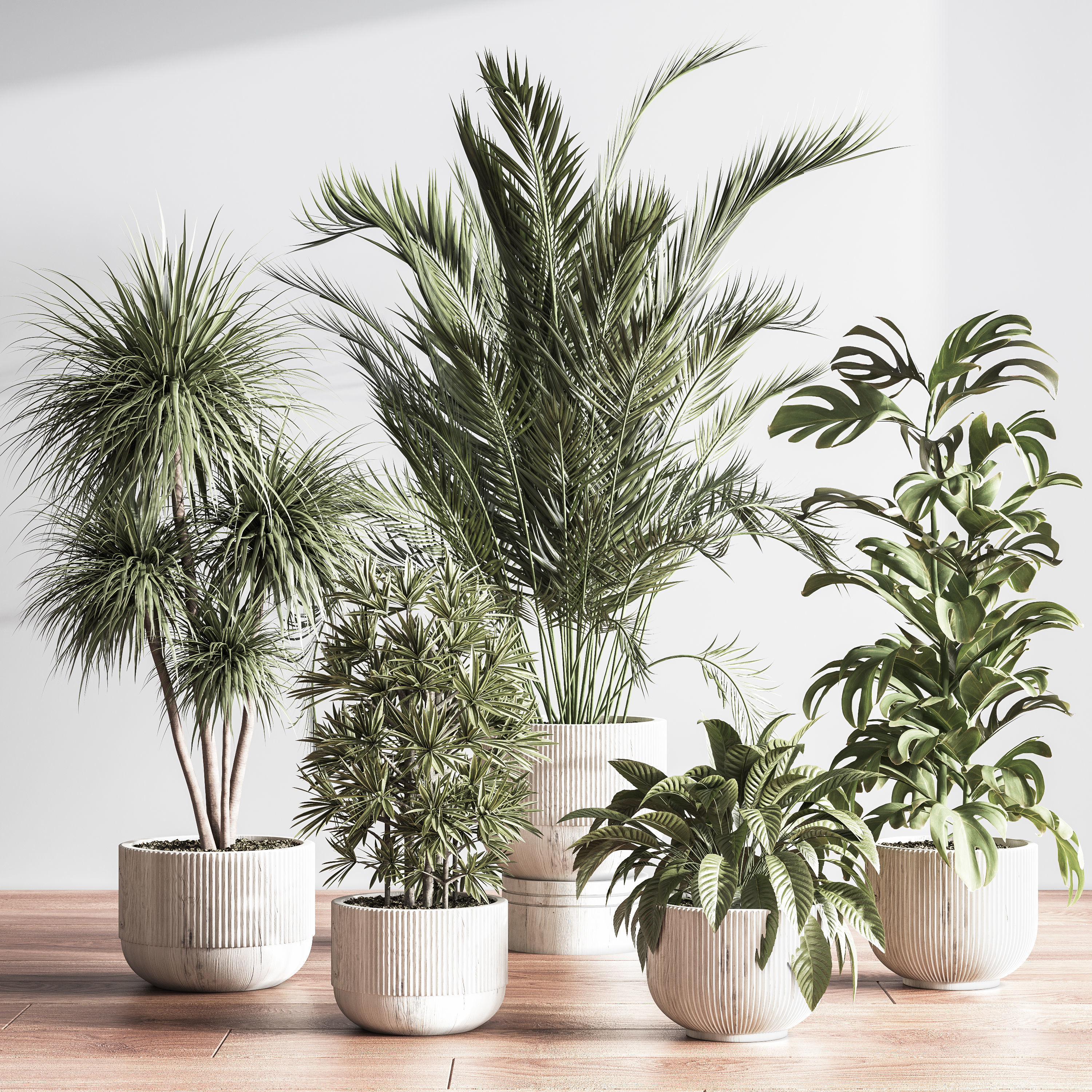  IndoorSetPlant046 3D model_1