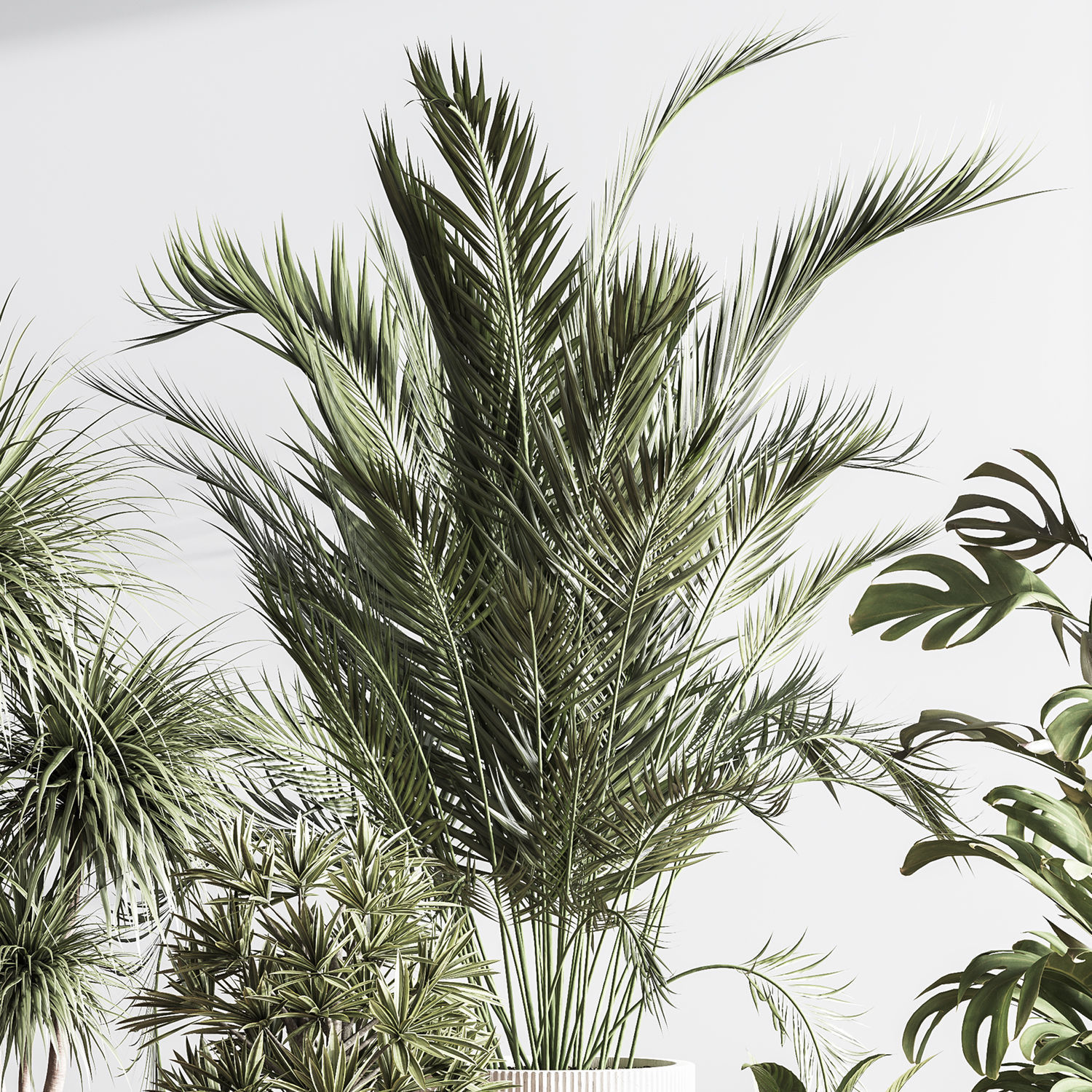  IndoorSetPlant046 3D model_4