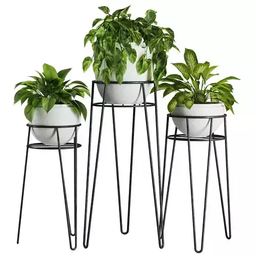 Indoor Plant Set V38