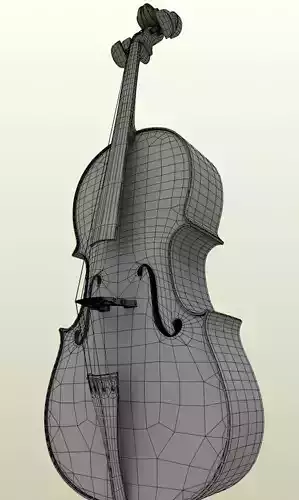 Violoncello cello