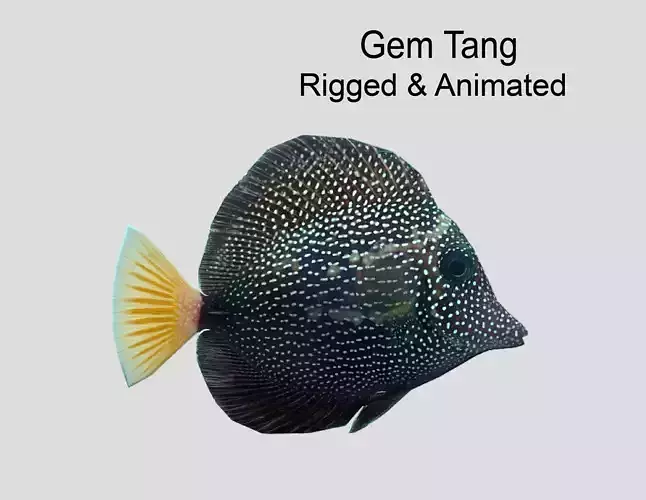 Gem Tang