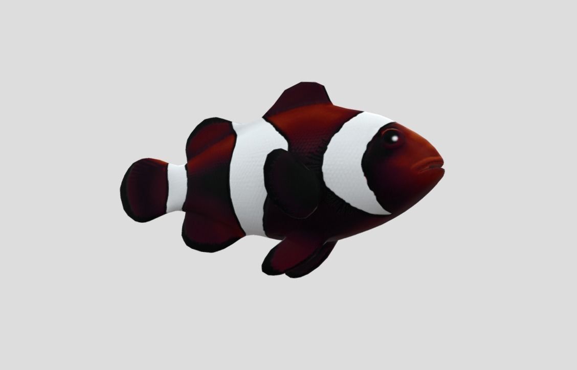 clownfish Low-poly 3D model_4