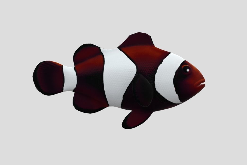 clownfish Low-poly 3D model_1