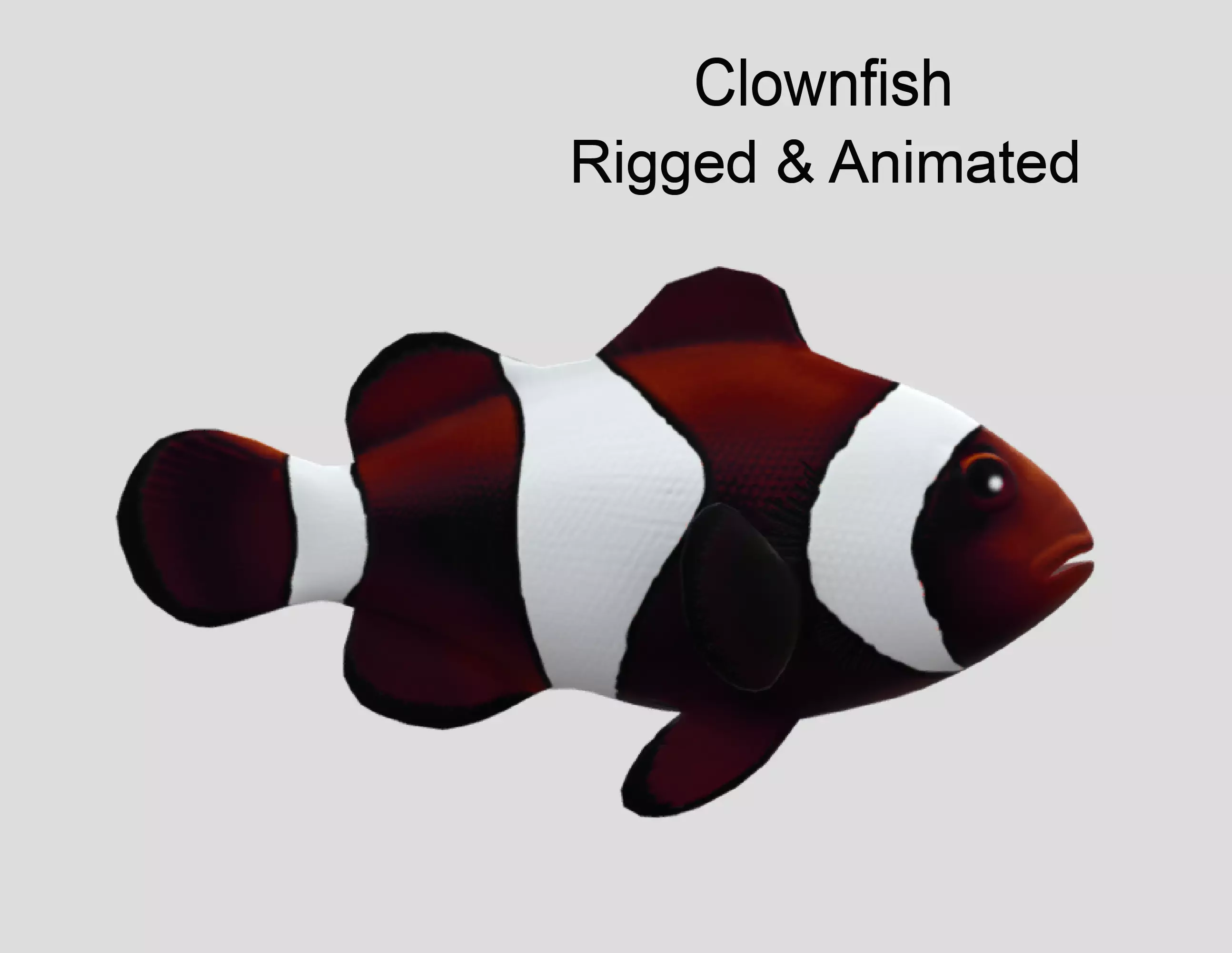 clownfish Low-poly 3D model_0