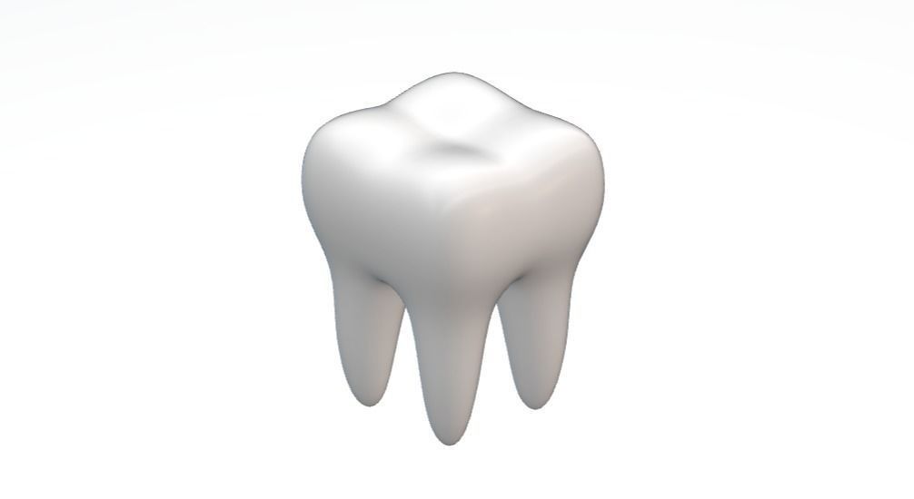 Premolar Tooth design 3D print model_2
