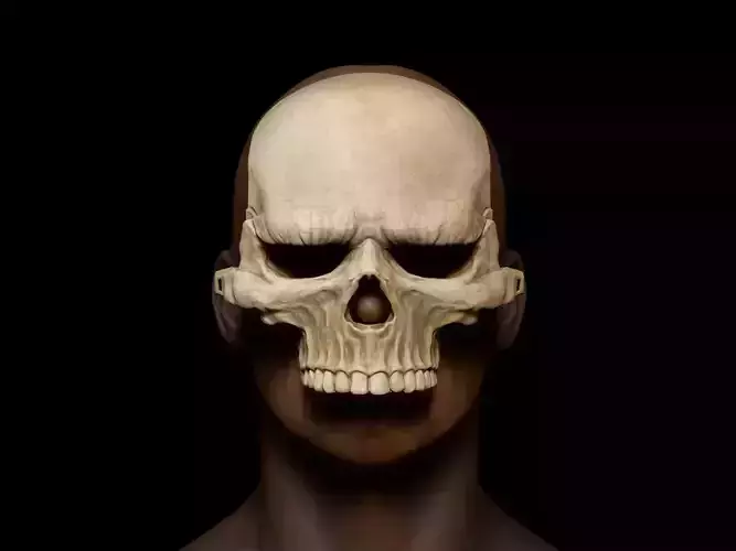 Grumpy Skull Mask