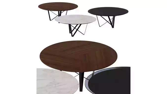 Narcissus Koleksiyon