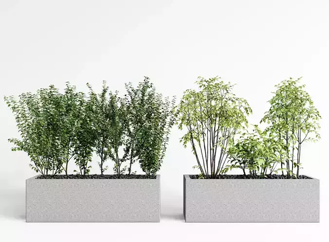 Potting Plant Modern Green