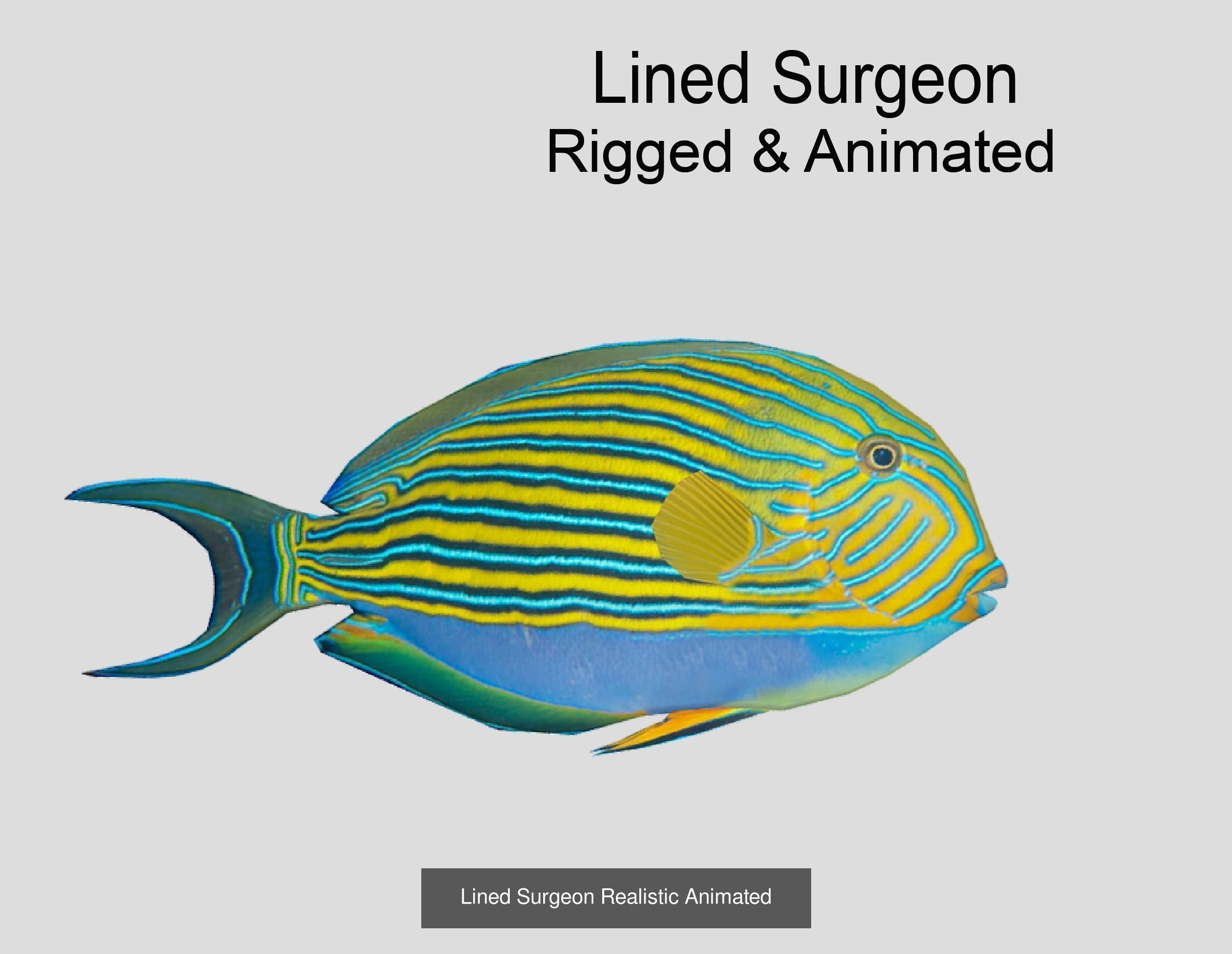 Coral Reef Fish Collection Animated _86