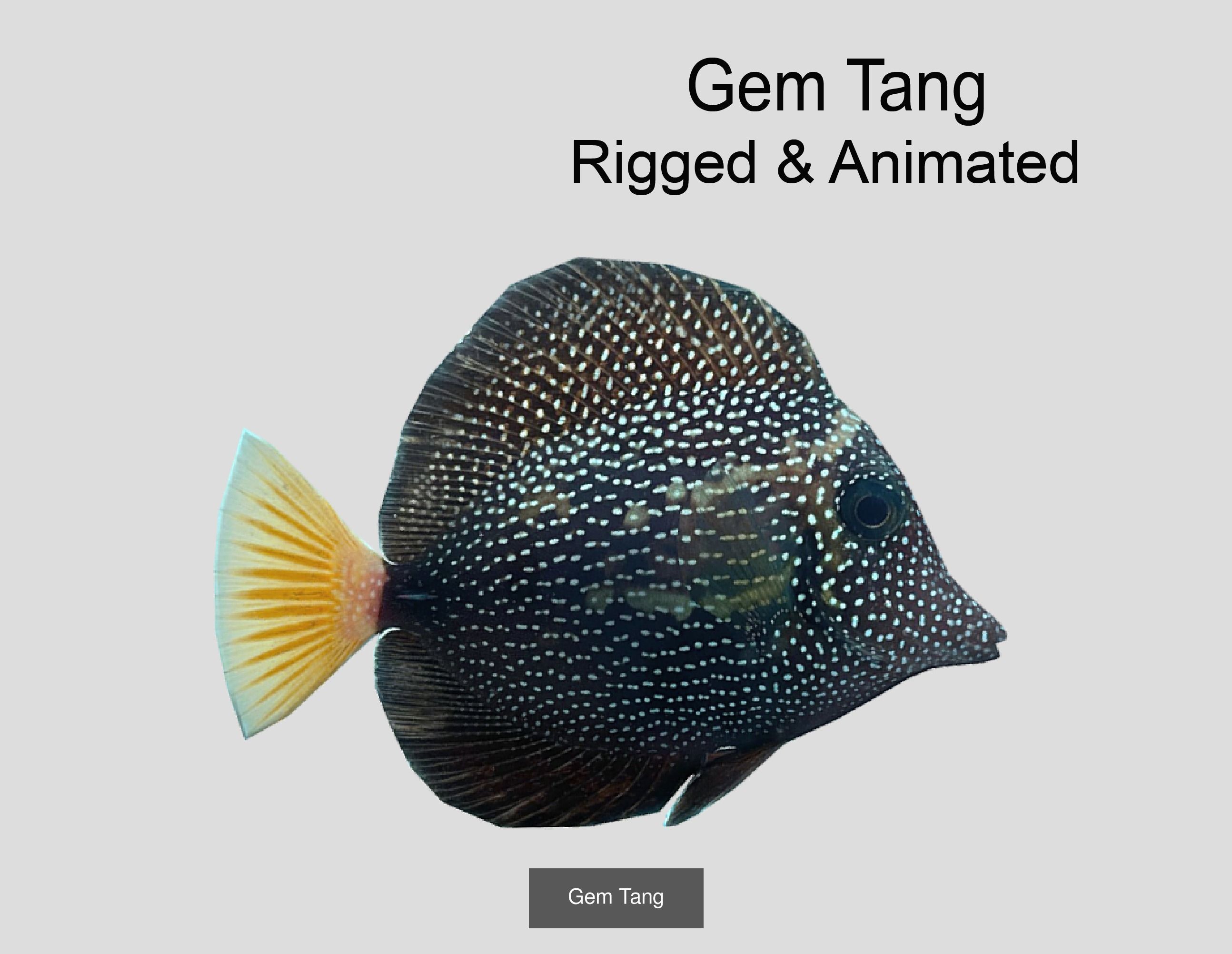 Coral Reef Fish Collection Animated _45