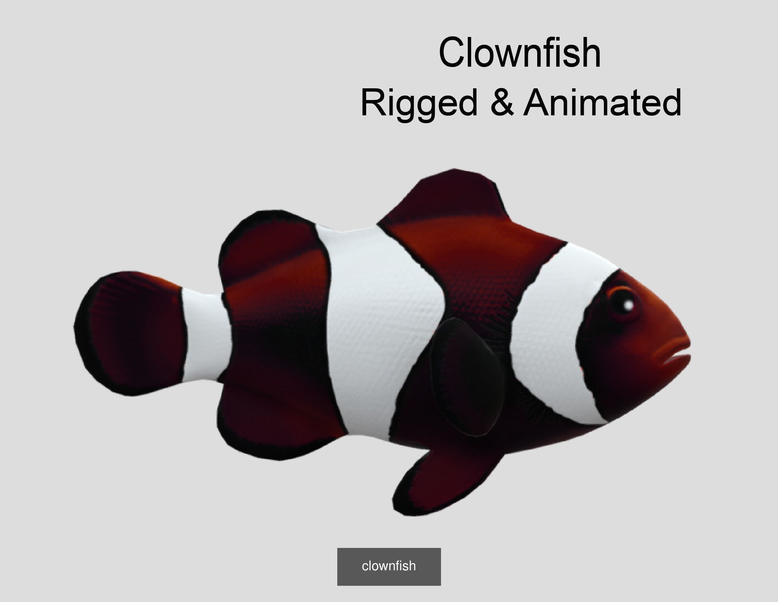Coral Reef Fish Collection Animated _94