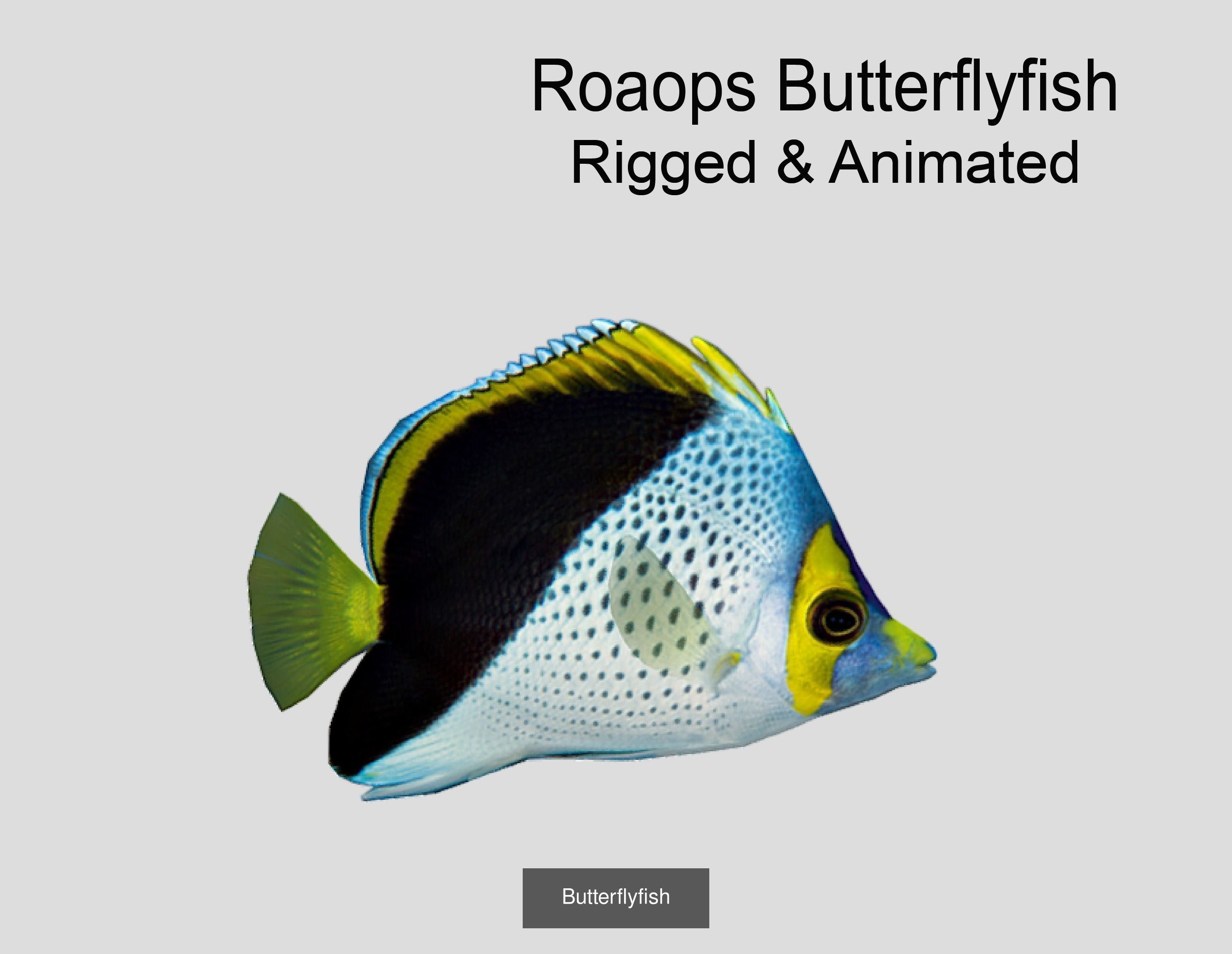 Coral Reef Fish Collection Animated _50