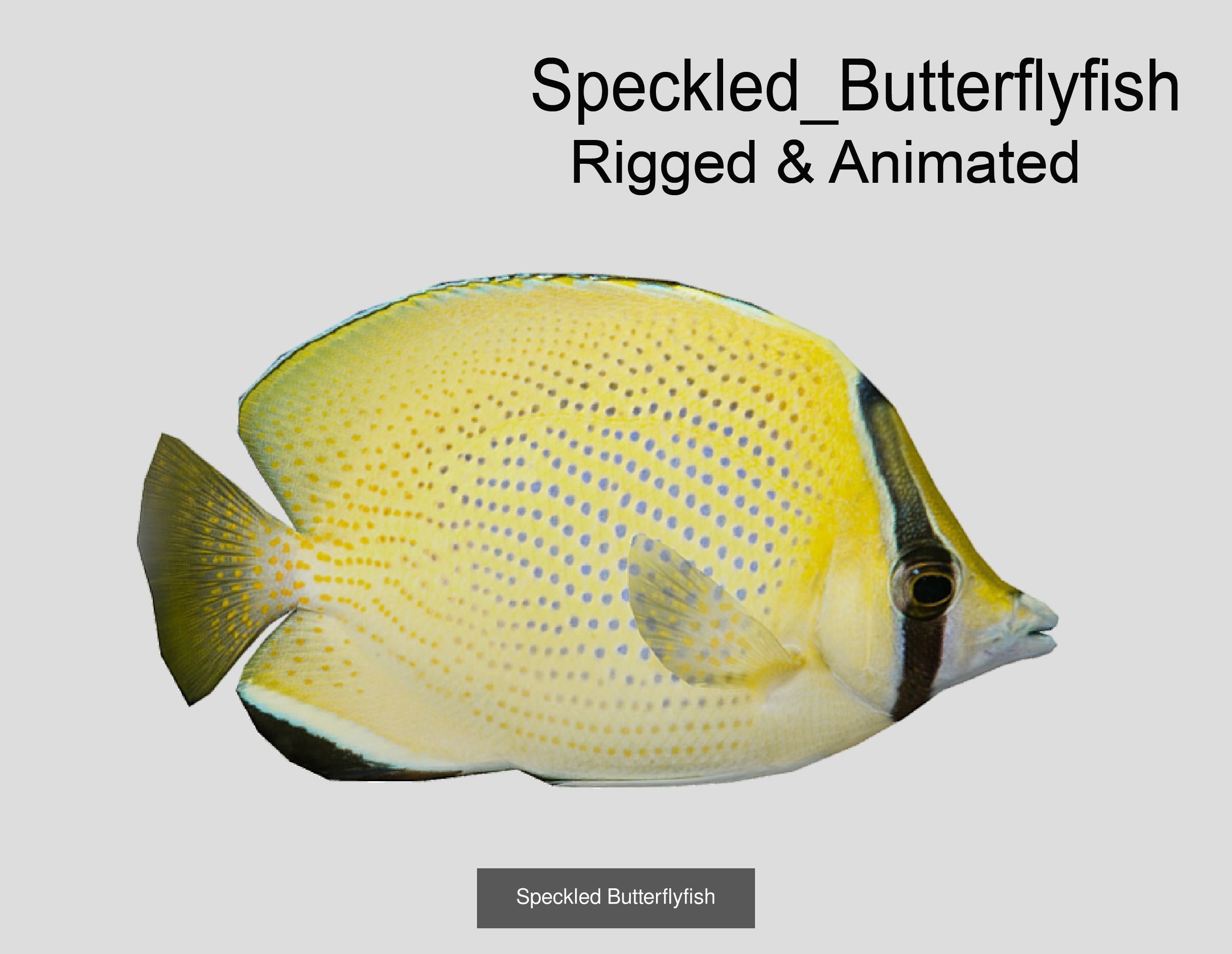 Coral Reef Fish Collection Animated _51