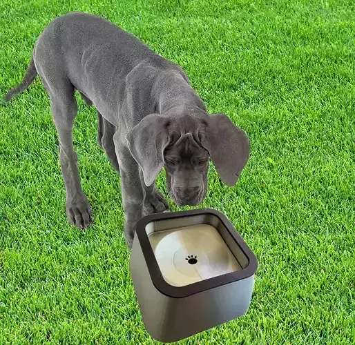 Smart Pet Water Bowl 3D print model