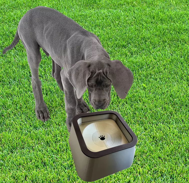Smart Pet Water Bowl 3D print model_0