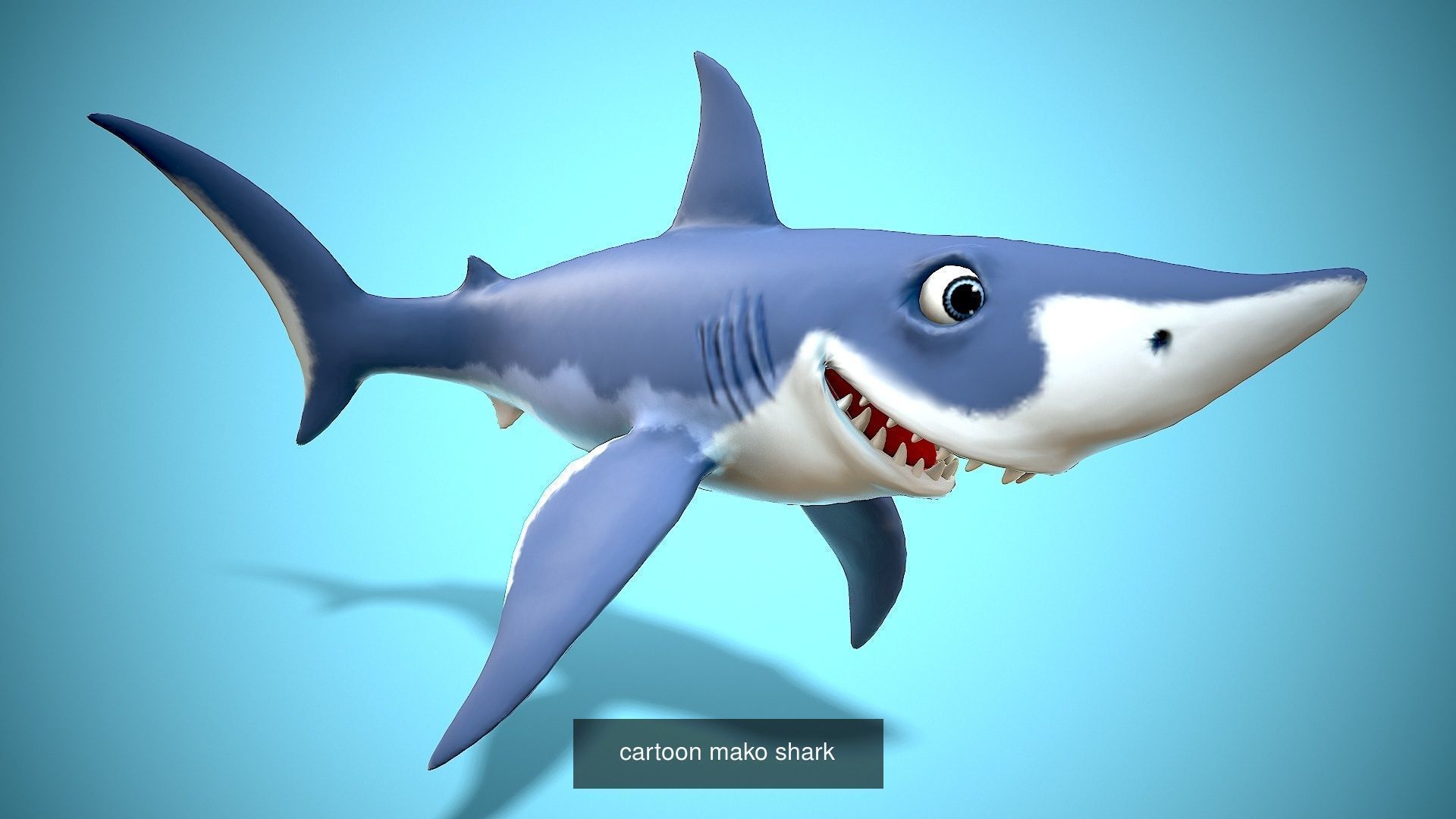 cartoo sharks pack 3D Model Collection_7