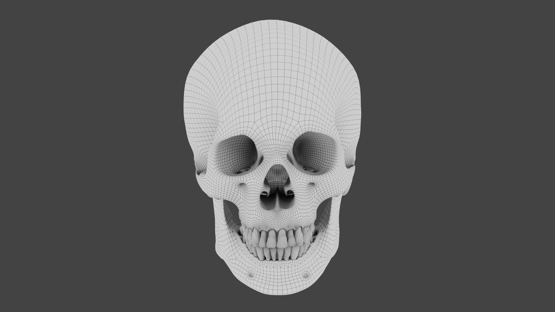 Realistic human skull 02 Low-poly 3D model_7