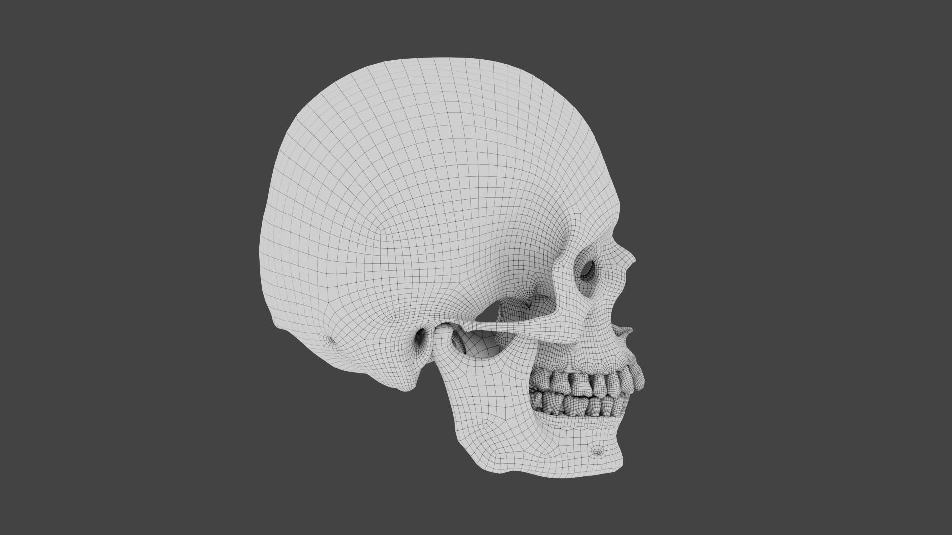 Realistic human skull 02 Low-poly 3D model_6
