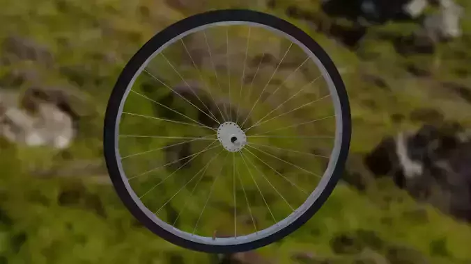 Bycycle Wheel 3D Model